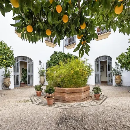 Palacio Marqués Vega Armijo&casco Histórico Apartamento *