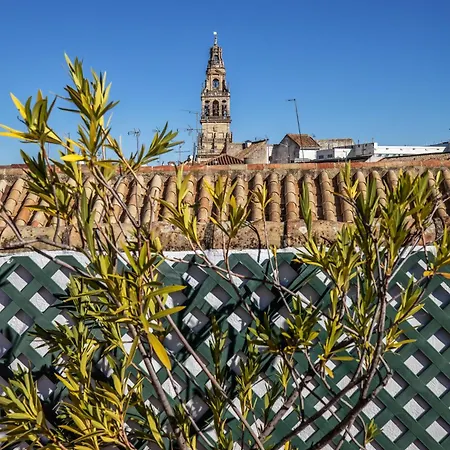 Palacio Marques Vega Armijo & Casco Historico Apartment