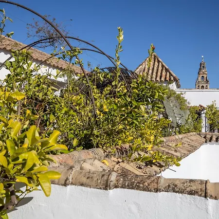 Apartment Palacio Marques Vega Armijo & Casco Historico *